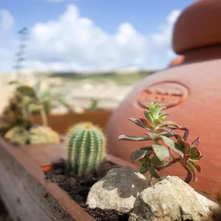 Getawaynpetto Private Duplex Maisonette With Jacuzzi Hot Tub * Mgarr